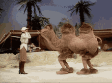 Helen Reddy; Sopwith the Camel; The Muppet Show; Jim Henson; puppets